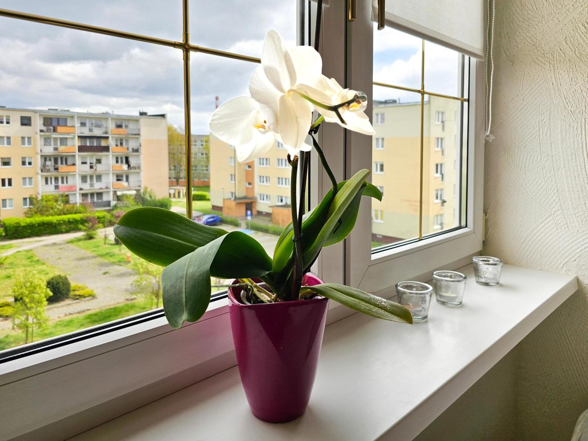 Visit Baltic - Apartament Sunny Свіноуйсьце Екстер'єр фото